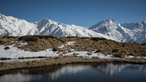 best new zealand playwrights